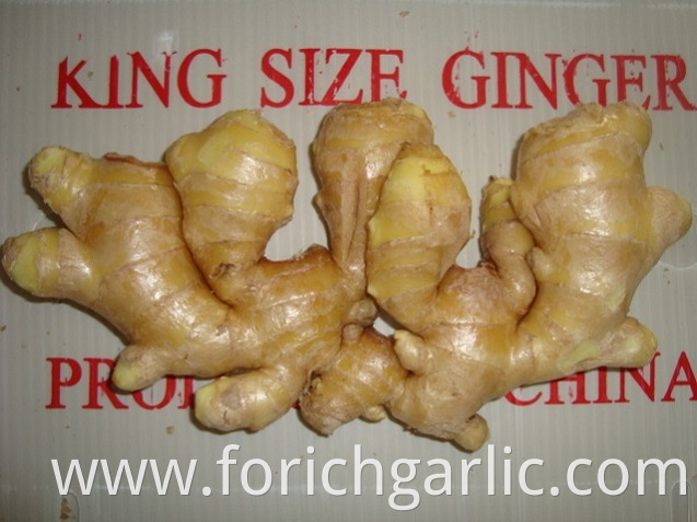 Air Dired Ginger